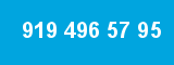 919 496 57 95